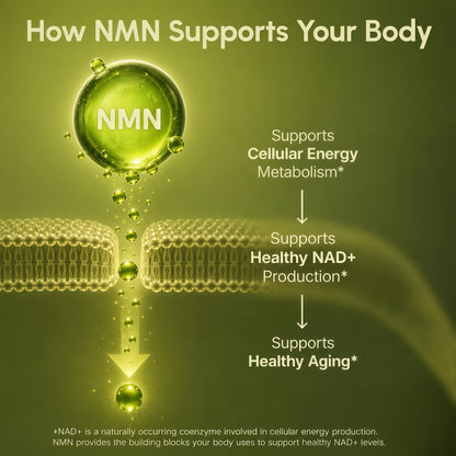 partiQlar Pure NMN Supplement 500mg - High Purity NAD+ Booster Capsules